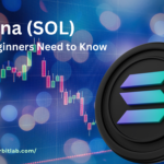 Solana (SOL) cryptocurrency