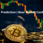 bitcoin Bear Market